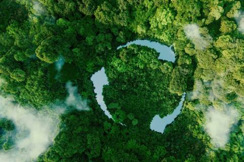 Lake surrounded by rainforest; link to webpage on life cycle assessments