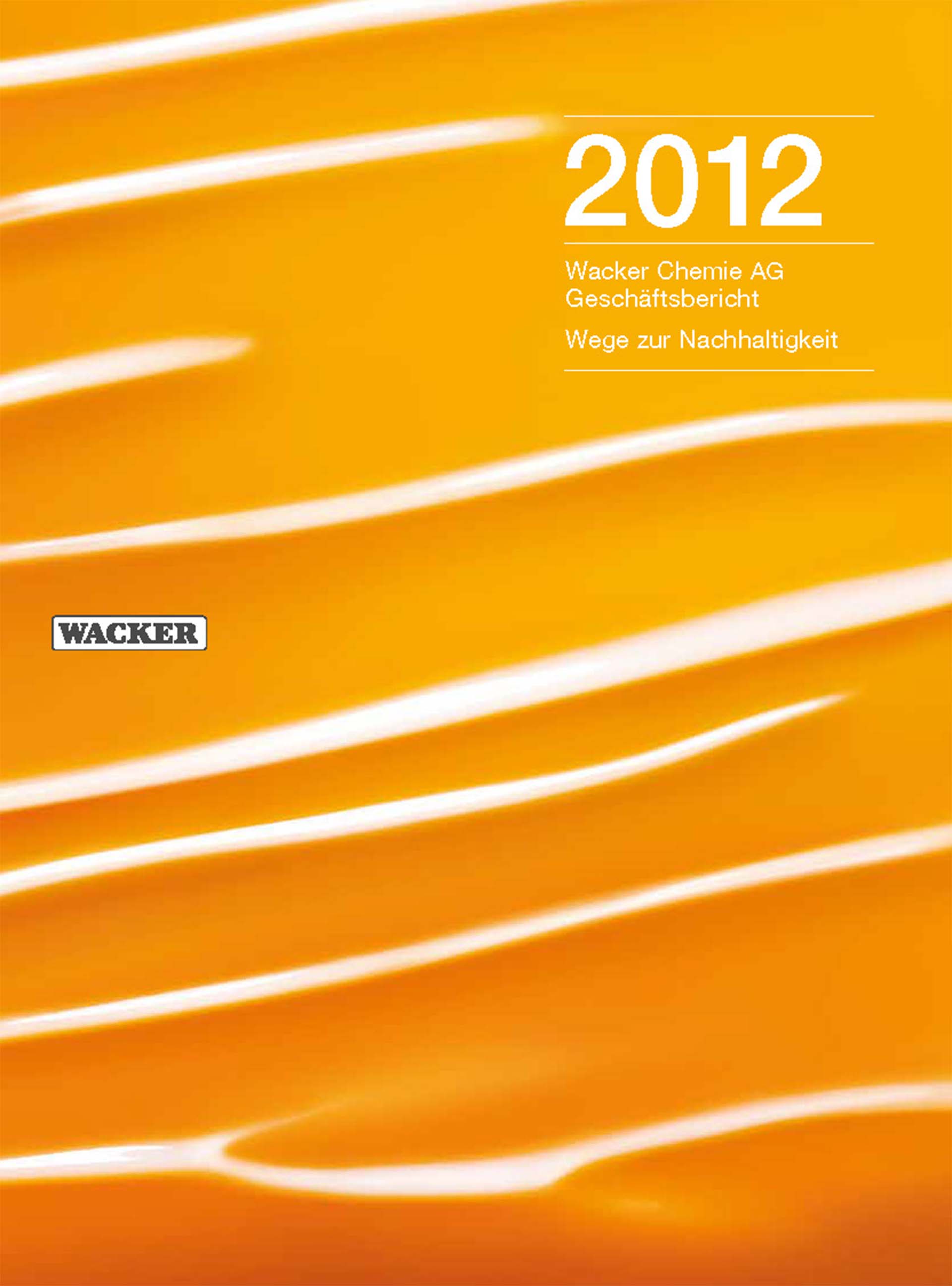 2012年度报告