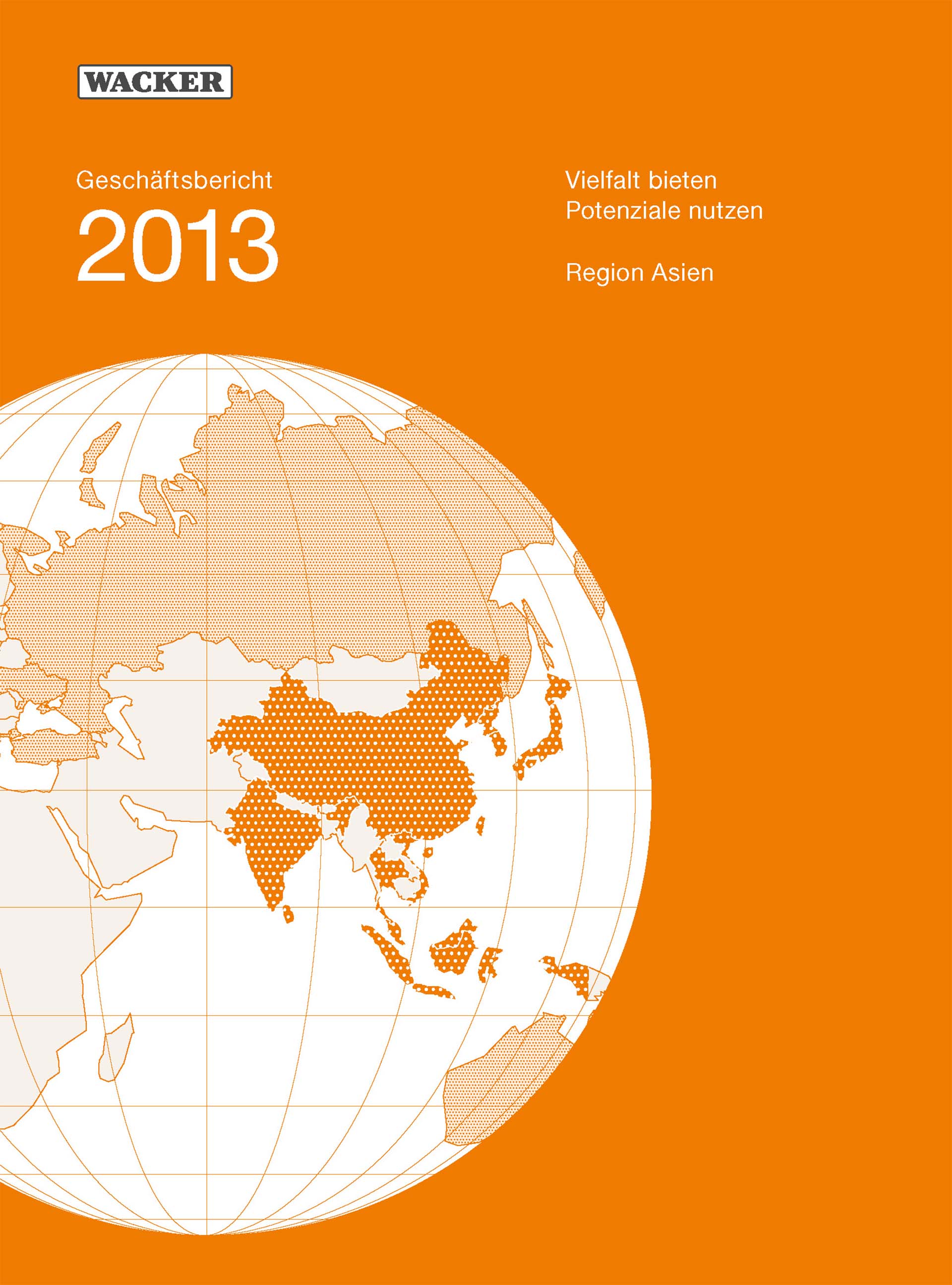 2013年度报告