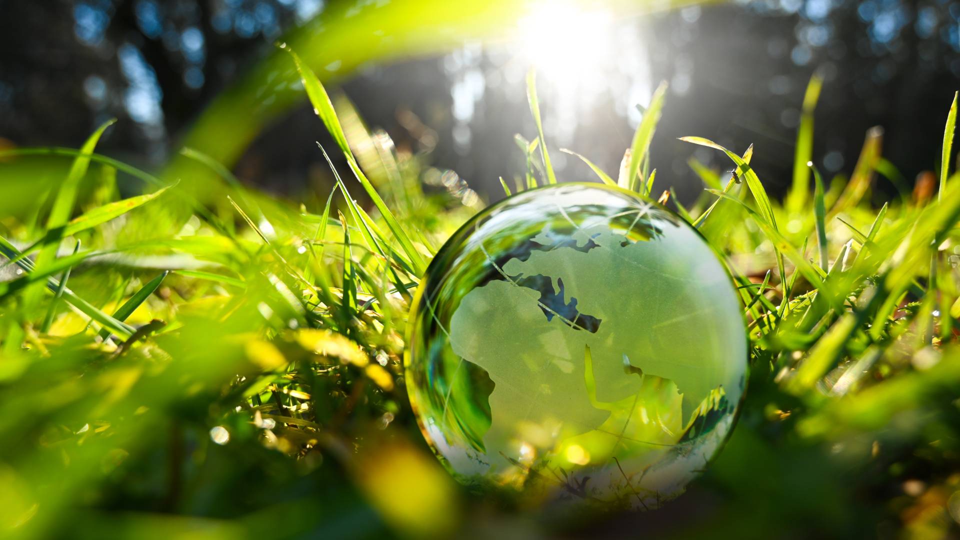 Glass globe lies in a green field
