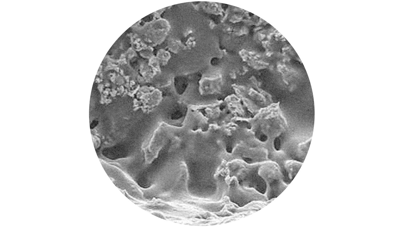 显微镜下的防水砂浆