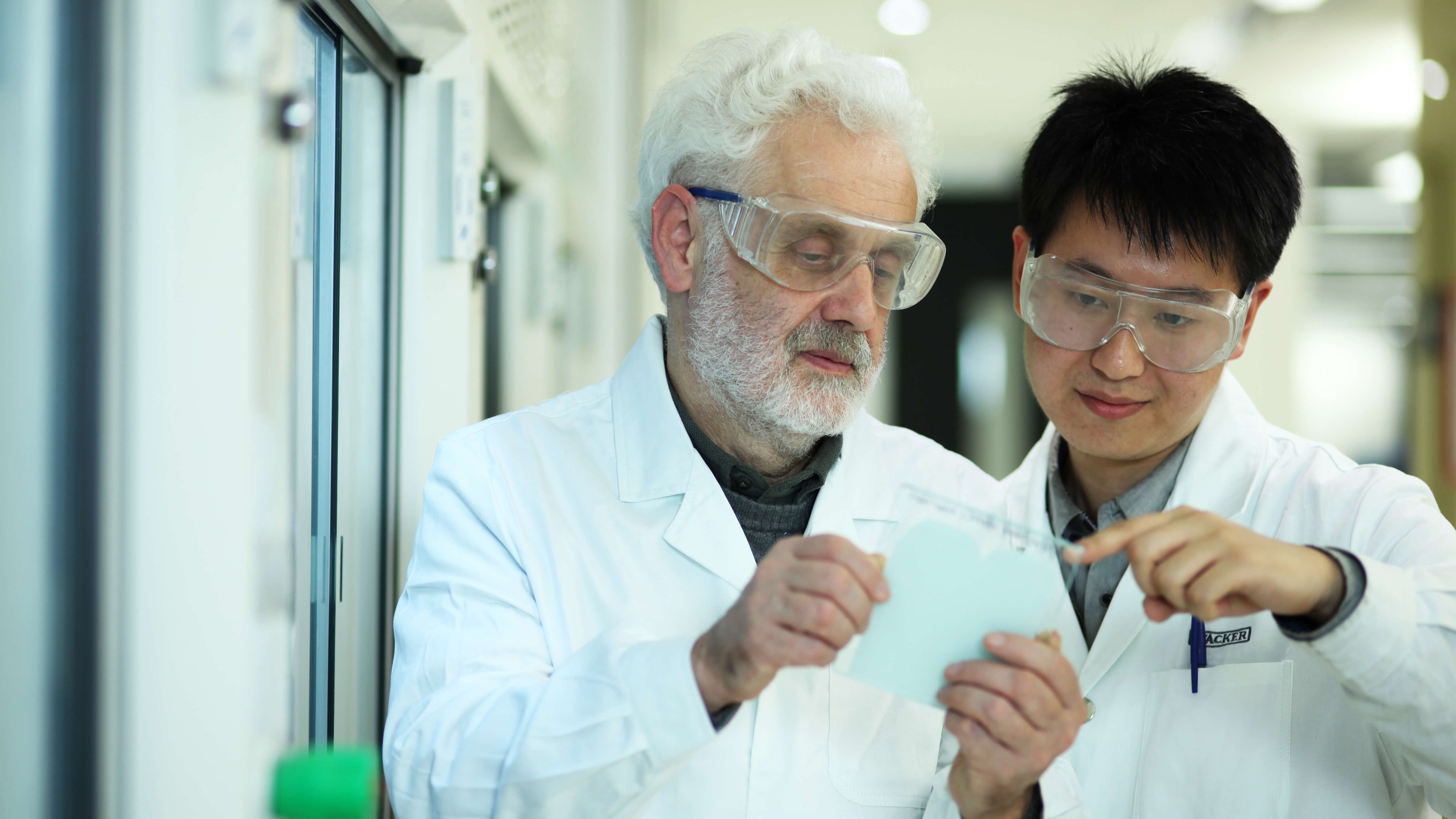 Forscher betrachten Testergebnisse