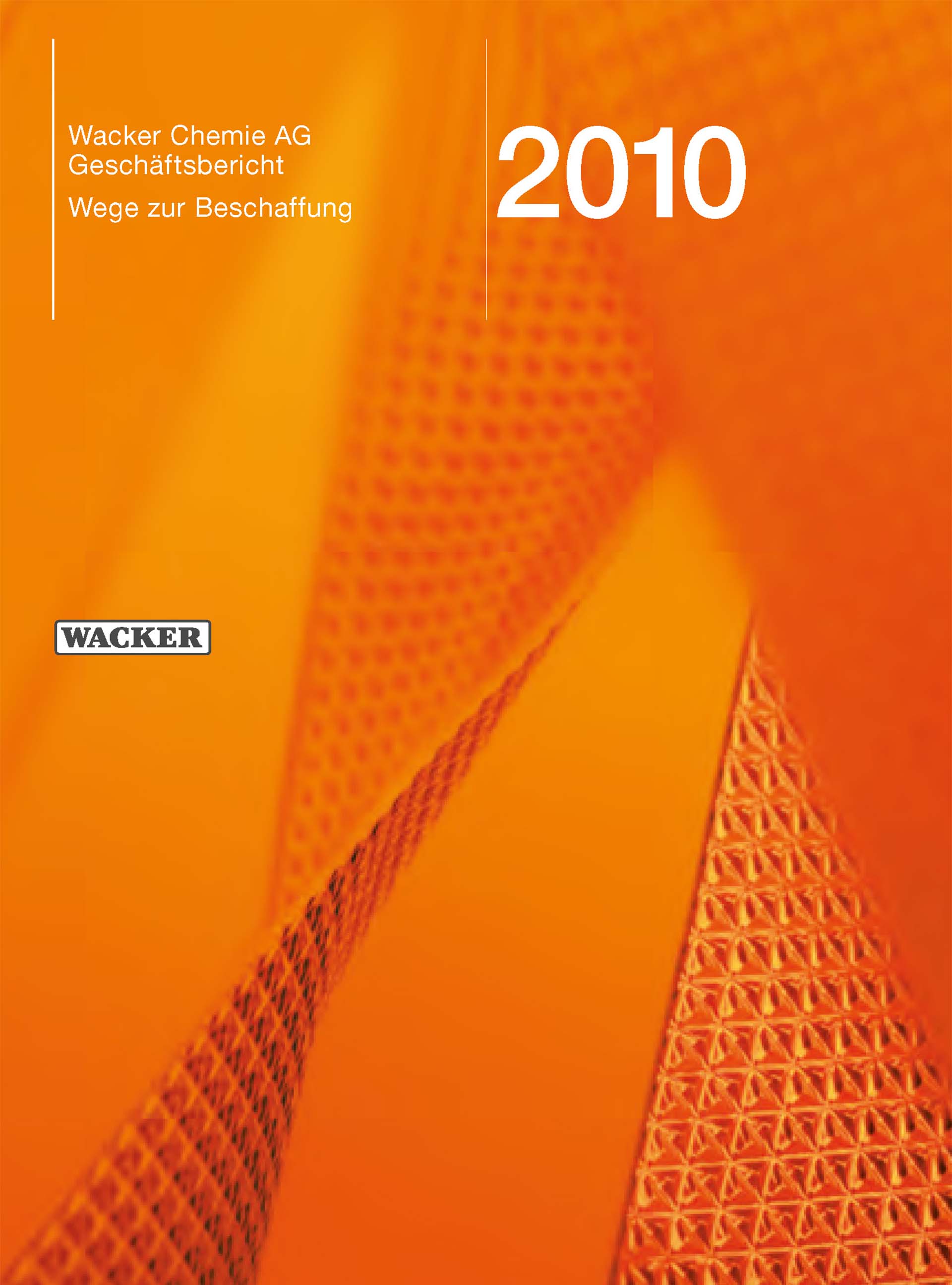 2010年度报告