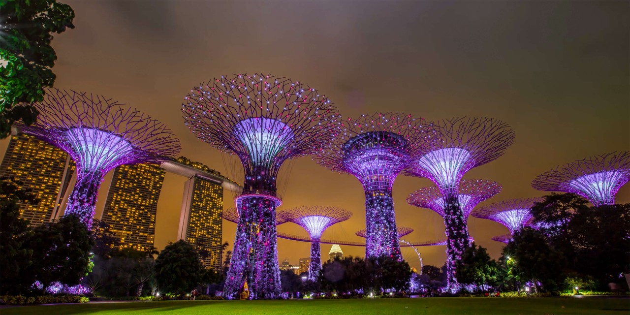 Gardens by the bay at night