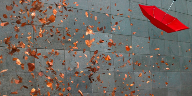 Regenschirm fliegt im Herbstwind davon