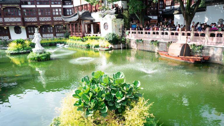 Chinese pond with greenery
