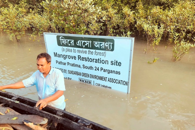 A man stands in front of a sign in the mangrove forest that reads Mangrove Restoration site