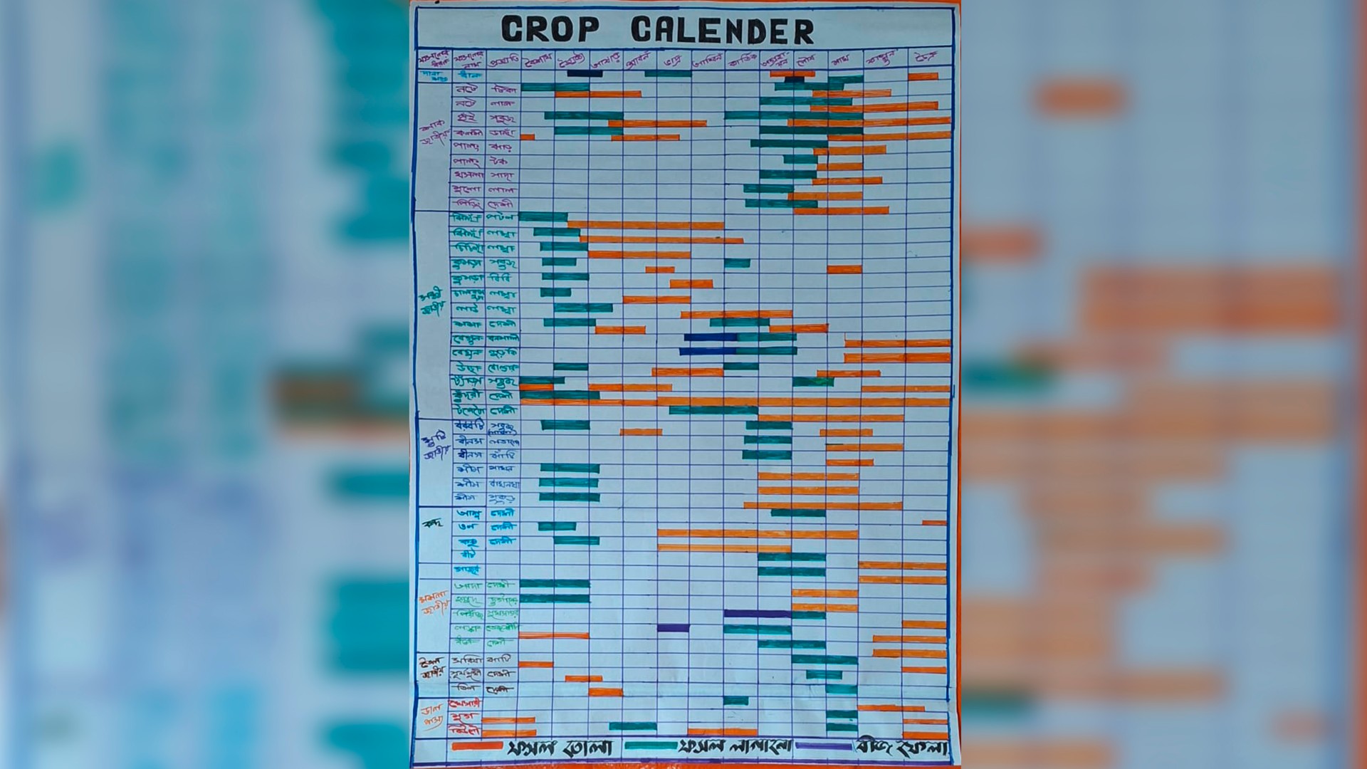 Detailed view of a crop calendar on which the planting and harvesting times of various fruits are marked throughout the year