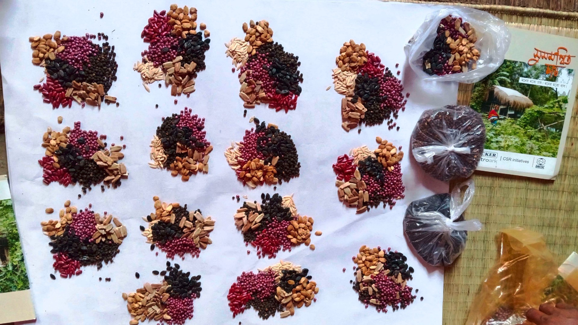 A white sheet of paper with various seeds on it, divided into portions for distribution to the women