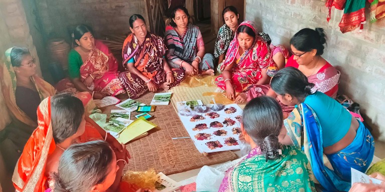 Several women sit in a circle on the floor in a training session and have a white sheet of paper in front of them with various seeds on it, which are explained to them