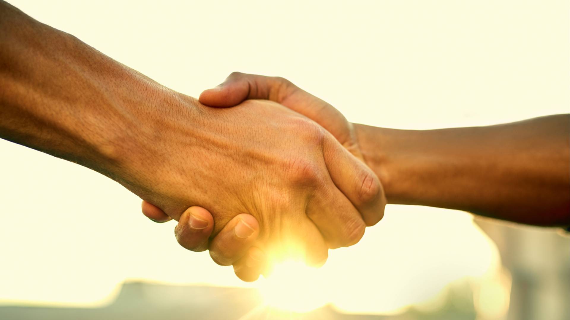 Handshake against a sunny background
