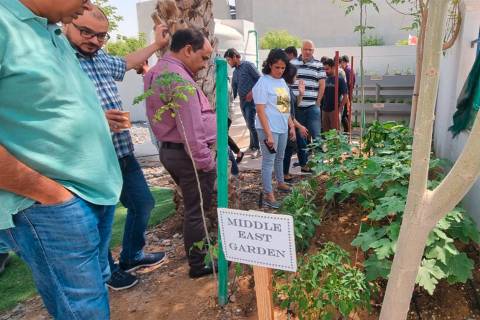 WACKER Middle East & Africa employees visit the garden there