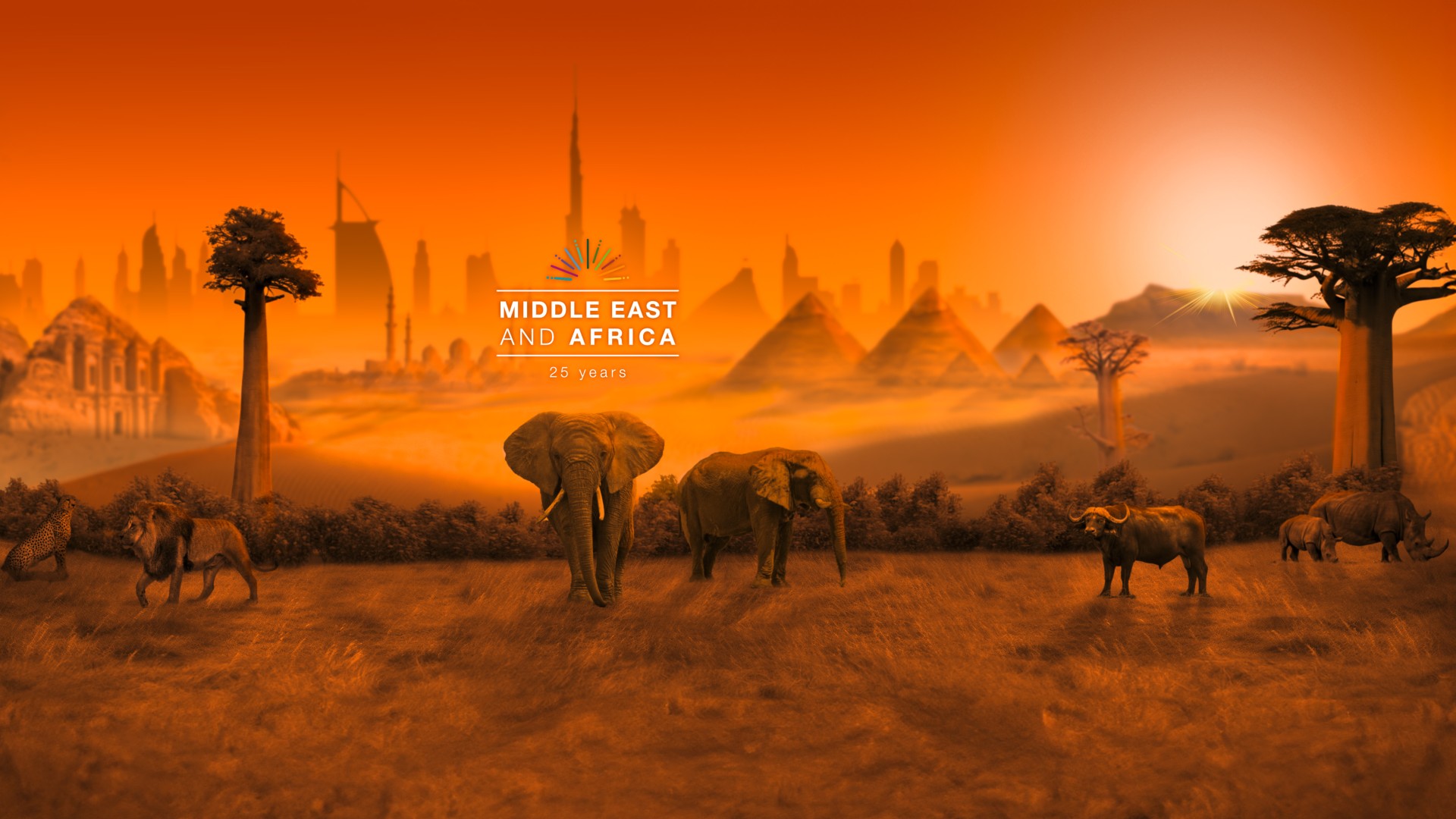 African and Middle Eastern landscape with key visual of 25 years of MEA