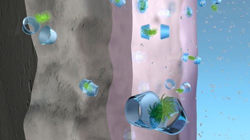 环糊精-芳香物络合物在墙面涂料中的功效模拟图