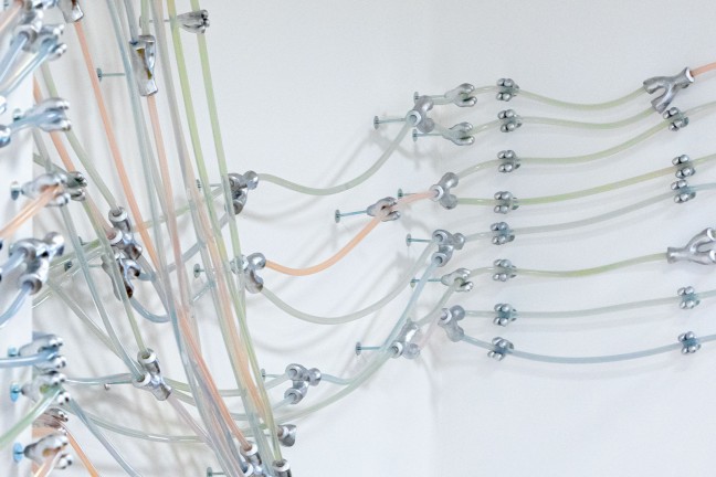 Policzka used roughly one kilometer of silicone tubing and several hundred nodes in her installation. 