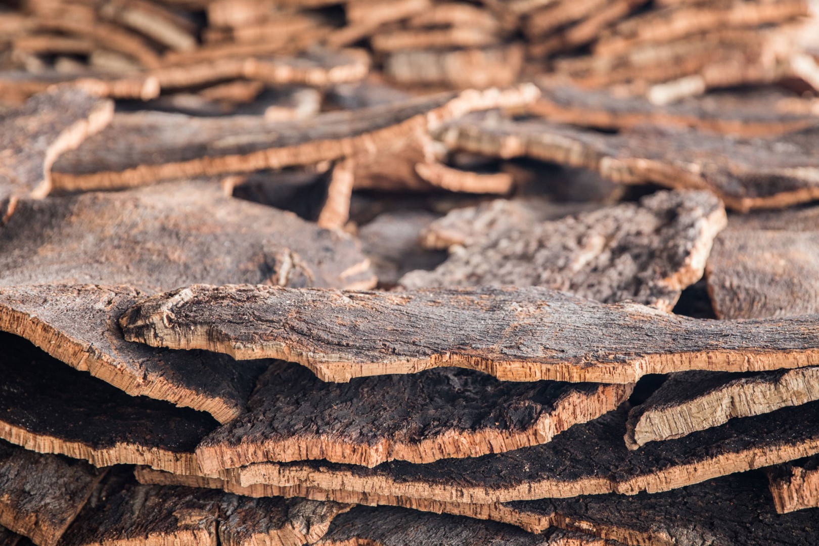 Harvested bark ready for processing.