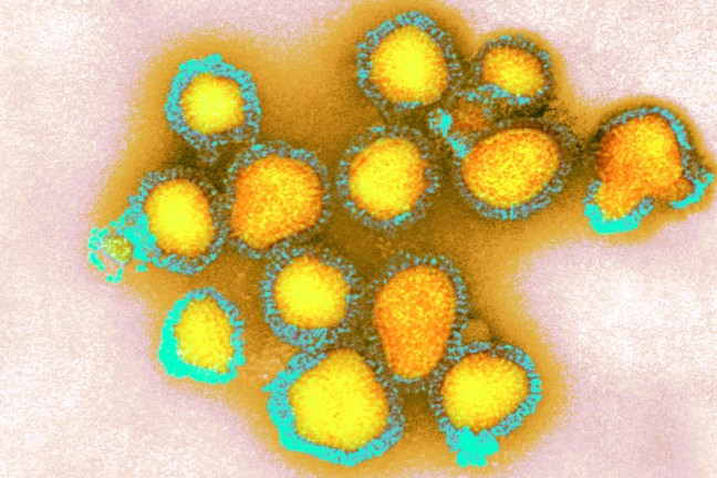 Subtyp H3N2 des Influenza-A-Virus