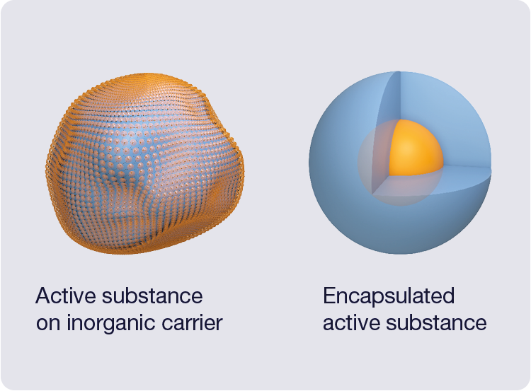 3D illustration of the SILRES&reg; POWDER technology: Two three-dimensional spheres represent the inorganic carriers. The left sphere is surrounded by a lattice-like network of active ingredients. The right sphere is cut open, revealing an encapsulated active ingredient core in the center. 