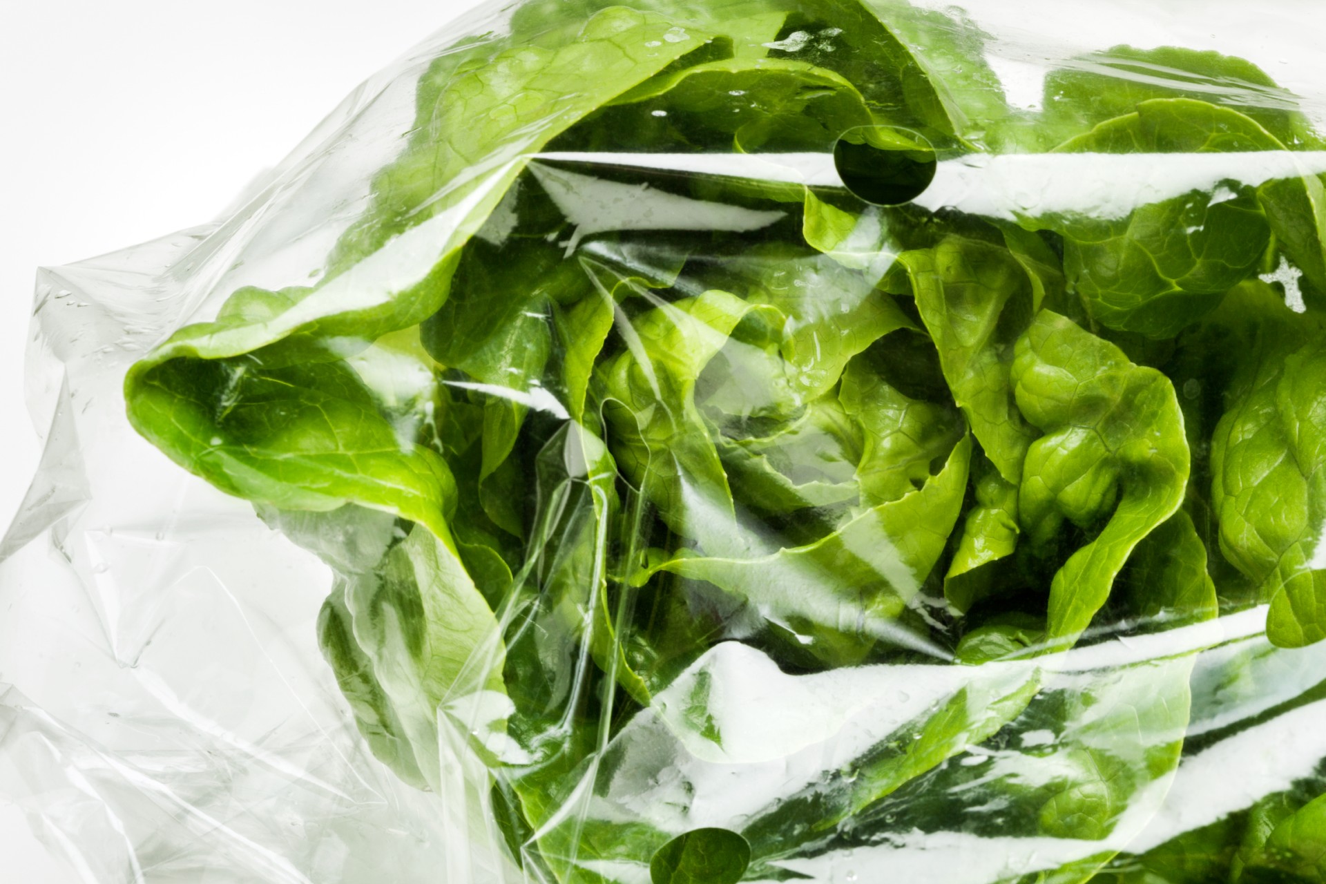 VINNEX_Biopolymer_Film