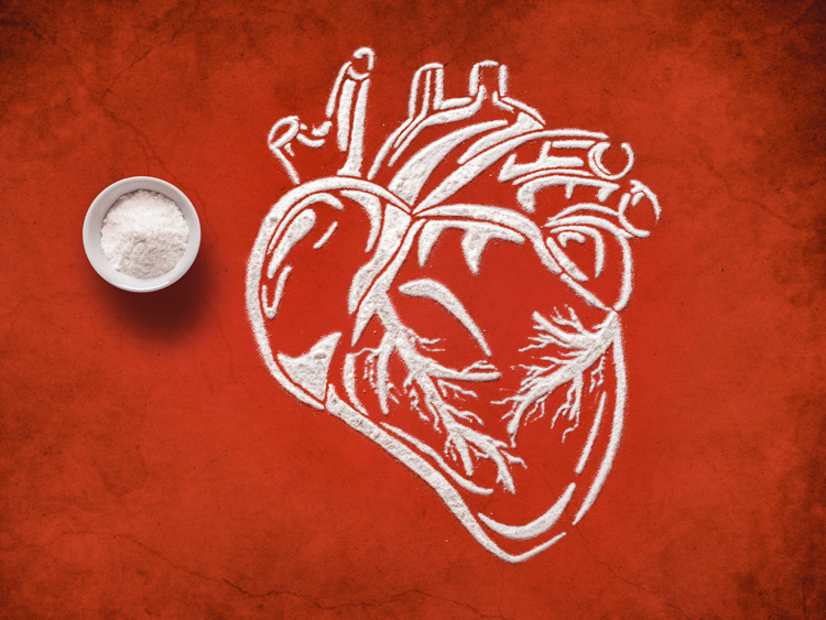 Neue Studie bestätigt: Antioxidans HTEssence® von WACKER fördert die Herzgesundheit