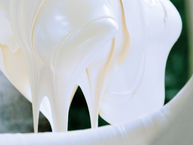 RoomTemperatureVulcanizing Silicone Rubber (RTV1/RTV2) Wacker