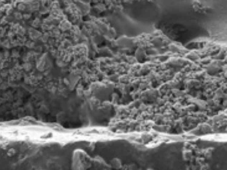 How to Avoid Tile Failure by Choosing the Right Tile Adhesive Wacker