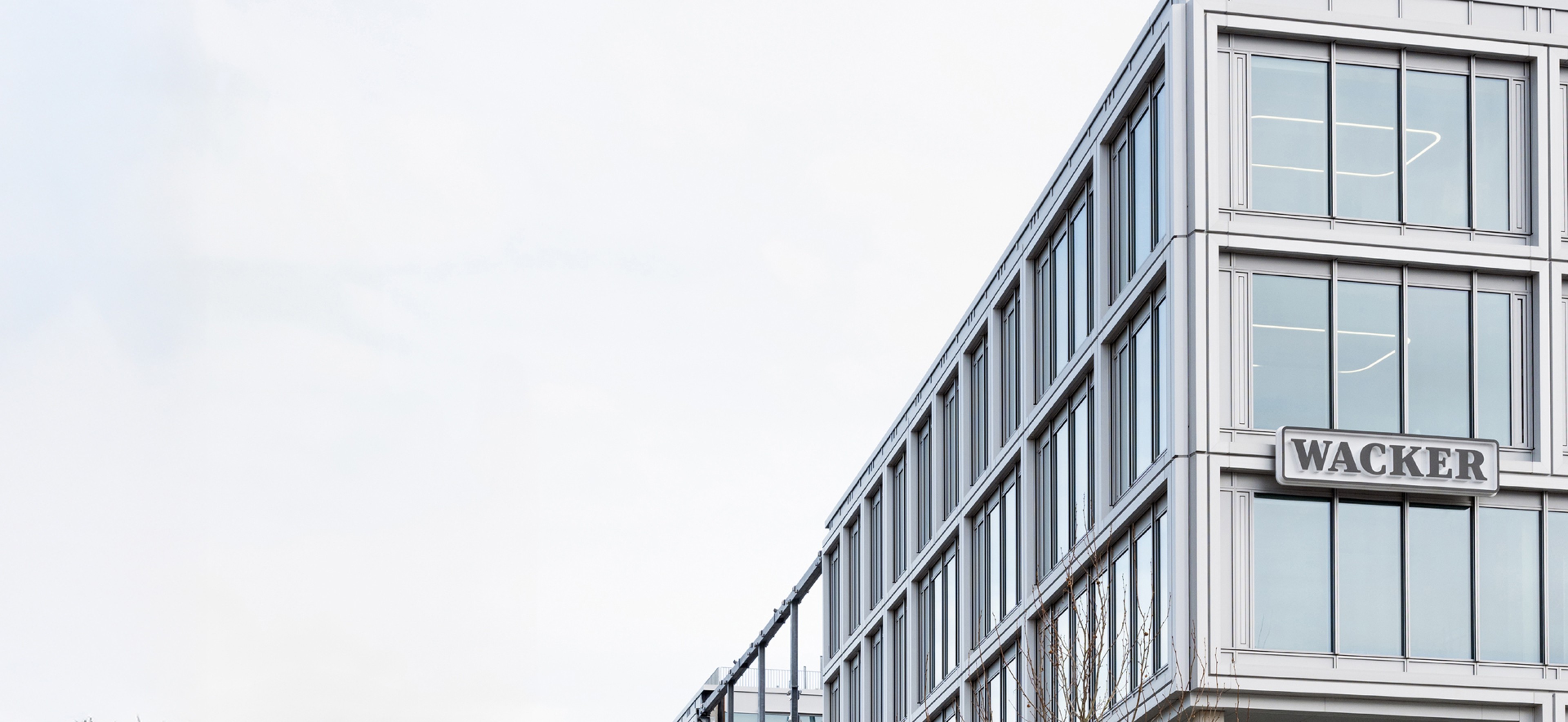 Wacker Polymers Expert views on hybrid polymers - Wacker Chemie AG