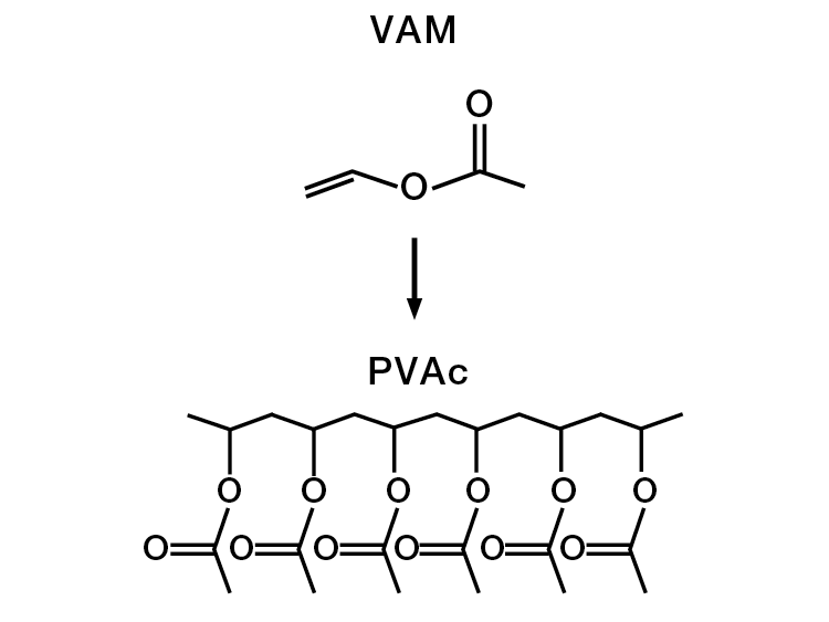 Polymer Dispersions Wacker Chemie AG